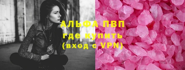 спиды Богородицк