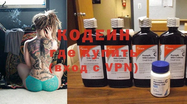 спиды Богородицк