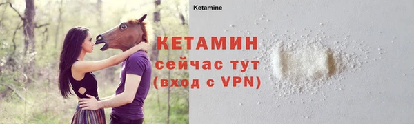 спиды Богородицк