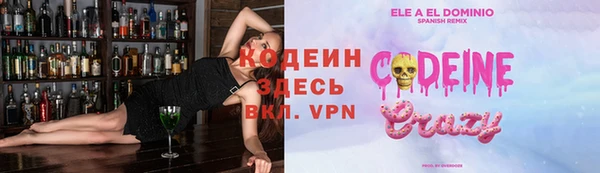 спиды Богородицк