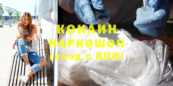 спиды Богородицк
