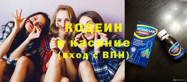 спиды Богородицк