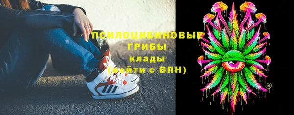 спиды Богородицк