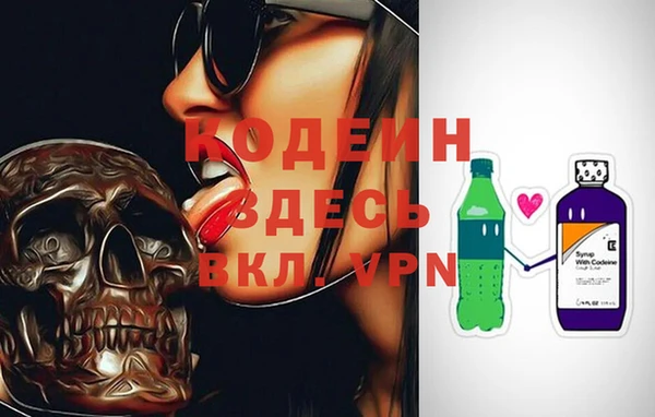 спиды Богородицк