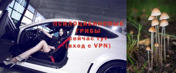 соль курить ск Богородск