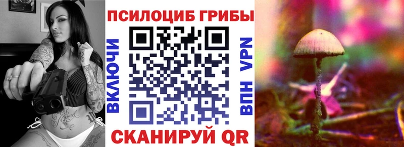 Галлюциногенные грибы ЛСД  Городище 